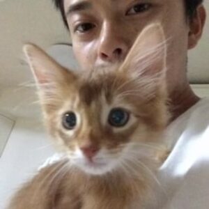 Ryo Katsuji Instagram - メルさん10歳
お誕生日おめでとう🐈
俺と出会ってくれてありがとう。
この10年色んなことあったね。
そのたびに君がいてくれてよかったと思ってるよ。
ありがとう。
初めて会った時も、初めてひっついてくれたときも
膝に乗っかってくれた時も
お風呂で近くで見守りすぎて落っこちた時も
部屋から脱走してマンションの廊下を走り回ったのも
全部覚えてるよ。
甘えん坊でいつもひっついてどこにいくのもついてきて
お風呂も見守り、トイレも見守り、笑
これからも大切にしていくからね。
長生きしてね。
メルさん本当におめでとう。
