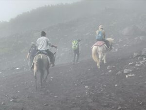 Ryodai Ishibashi Instagram - 富士登山日記です
無事登頂成功いたしました
ただ非常にキツかったとだけ言わせてください
・
#富士登山
#2枚目から 
#登る前意外と頂上近いなとか言う
#6合目でキツそうな人を運ぶ為の馬の出勤に出会い
#7合目から8合目までは長い道のりの岩という名の崖を登り続け
#気付いたら小さい頃全員が乗れると思ってたモコモコ雲の上に完全にいて
#8合目付近の鳥居をしっかり礼をしてからくぐりガイドさんは満面の笑み
#9合目から頂上に向かう途中に太陽の周りを輪っかで囲う虹
#ハロ を見かける事ができ縁起良し
#頂上付近最後の鳥居をしっかりと礼をしてくぐり
#無事山頂到着
#そして下山途中に
#影富士 も見る事ができこれまた縁起良し
#無事下山して電車に揺られているんだとさ
#めでたしめでたし 

#四千ミルク
#fmfuji35