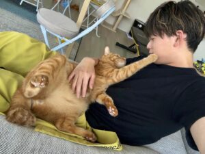 Ryogo Matsumaru Instagram - お返しに顔をなでてくるようになったリドくん

#肉球 がたまらん