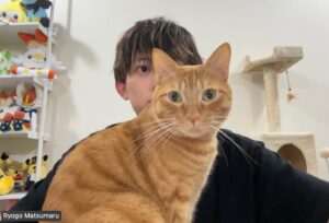 Ryogo Matsumaru Instagram - オンライン会議すると欠かさず参加するの偉い

#猫 #保護猫