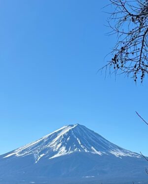 Ryuhei Matsuda Instagram - 明けましておめでとうございます
🎍🌅
本年もよろしくお願いします。