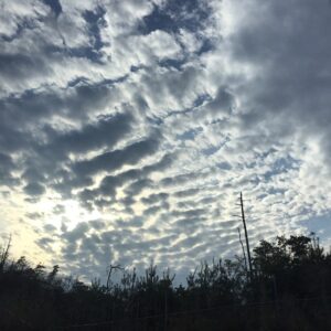 Ryuhei Matsuda Instagram - in広島