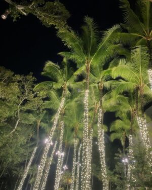 SHIN Instagram - Hawaii📸🏝️

#shinchan_style #hawaii