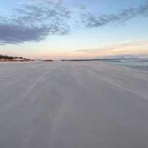 Saba Douglas-Hamilton Instagram - A brisk walk on the beach to clear my head, with Southern Right whales breaching offshore. A tonic for the soul at this anxious time.