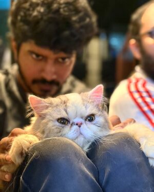 Sabareesh Sajjin Instagram - Catering boys
. 
. 
. 
📸: @strom.ae 😺