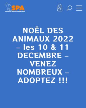 Sabine Perraud Instagram - Aujourd’hui @benjibounty et moi avons été rendre visite à la @laspamontpellierofficiel et son équipe de passionnés pour rencontrer les chiens et chats en attente d’adoption. Ils n’ont jamais été autant saturés d’animaux abandonnés et nous pouvons les aider, soit en faisant un don, soit en faisant de la prévention, soit en devenant bénévole ou encore mieux, en adoptant un de leurs protégés. Le week-end du 10/11 décembre de 10h à 17h ils organisent le Noël des animaux, avec tout un tas d’animations pour présenter leur travail et donner l’occasion à des familles d’ouvrir leur foyer à un orphelin. On vous partage une vidéo d’explication très vite! Bravo à eux pour leur dévouement et merci pour cette matinée enrichissante.