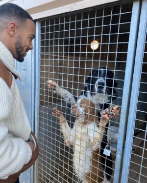 Sabine Perraud Instagram - Aujourd’hui @benjibounty et moi avons été rendre visite à la @laspamontpellierofficiel et son équipe de passionnés pour rencontrer les chiens et chats en attente d’adoption. Ils n’ont jamais été autant saturés d’animaux abandonnés et nous pouvons les aider, soit en faisant un don, soit en faisant de la prévention, soit en devenant bénévole ou encore mieux, en adoptant un de leurs protégés. Le week-end du 10/11 décembre de 10h à 17h ils organisent le Noël des animaux, avec tout un tas d’animations pour présenter leur travail et donner l’occasion à des familles d’ouvrir leur foyer à un orphelin. On vous partage une vidéo d’explication très vite! Bravo à eux pour leur dévouement et merci pour cette matinée enrichissante.