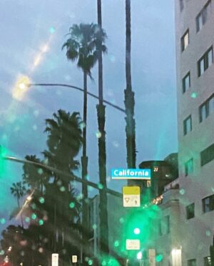 Sabrina Grdevich Instagram - ✌️🌴🌧️🏔️🌊🌅🌸you got it all l.a