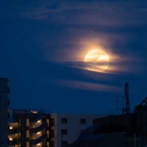 Saburo Tokito Instagram - 昨夜の満月の出
曇り空でダメかなと思ってたけど、モワッと出てきた満月
アメリカ先住民の呼び方によると #フラワームーン
花が咲き乱れる季節だかららしい
#満月 #満月の出