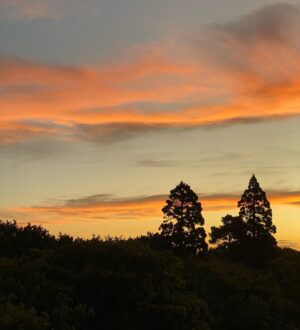 Saburo Tokito Instagram - そしてシメは夕景
#クライストチャーチ
#ニュージーランド