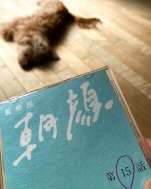 Saburo Tokito Instagram - 「監察医朝顔2」第15話
実はもう関係者用DVDで見てしまった
でも今日はリアルタイムで放送見るかも
放送の方が映像キレイだからねぇ
本日夜9時からです。是非！
#監察医朝顔
#ウチの犬は彼氏ができない