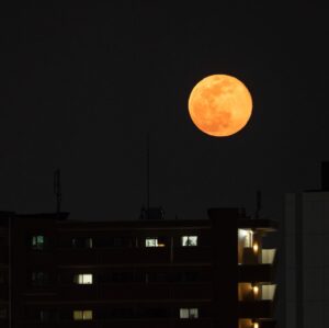 Saburo Tokito Instagram - 今夜の満月の出＠東京

#スーパームーン #supermoon #満月 #祈る #tokyo