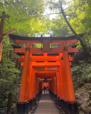 Sae Maeda Instagram - What a week it has been🦌⛩🎋
#kyoto #nara