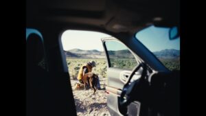 Salomon Ligthelm Instagram - FORD ‘Starting Line’ frames with @oli_millar.