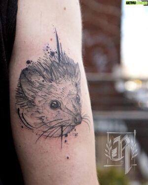 Sam Breton Instagram - Mon Henri dans le cœur et maintenant... dans la peau 🦔❤️😉Merci @rodtattoomtl @laplanque_mtl 👌😍#herisson #hedgehog