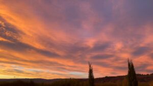 Sam Neill Instagram - VOLUME UP 
MORNING ! At my place . Not sure what i did to deserve this , but what a dawn. Hang on , maybe it’s not all about me . But it rather felt like it .  #CentralOtago #PreparedToShare #Vintage2024 #PinotNoir #TwoPaddocks  @twopaddocks