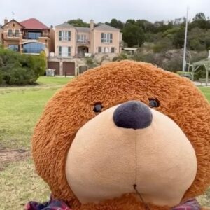 Sam Neill Instagram - REALLY RUDE BEAR. Finally plucked up the courage to talk to that bear who has been in the park for weeks now. Turned out to be the rudest bear I’ve ever met. And made me look … a bit… nuts.