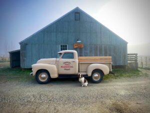 Sam Neill Instagram - MIDWINTER. Frosty morning at The Fusilier Vineyard . Resident dog doing what he should for once. Great photo by R Tompkins this morning .