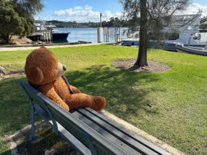 Sam Neill Instagram - SAW A RANDOM RESTING BEAR THIS MORNING. When i got closer ( swipe ) it looked like he might have a hangover. So I walked on . Looked like he didn’t really want to talk . I respect that .
