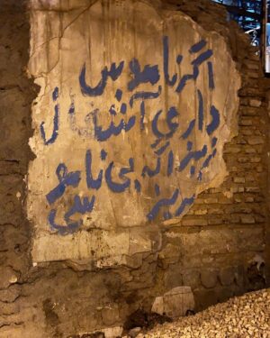 Saman Ehteshami Instagram - 📸: @emran_forouzesh 
اگه ناموس داری آشغال نریز…اگه بی ناموسی بریز
#شهر #پاکیزگی #خیابان #کوچه #منزل #انسان #حیوان
