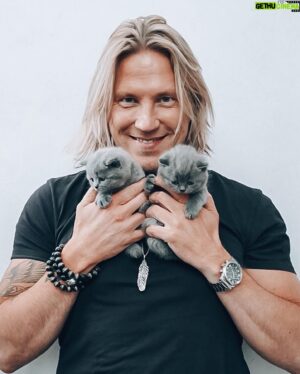 Sami Kuronen Instagram - Viimeinen päivä yhdessä 😢 Pennut ovat tulleet luovutusikään ja siirtyvät huomenna uusiin koteihinsa. Ikimuistoinen kevät kun sain seurata aitiopaikalta sisarusten kasvua ja kehitystä.
Heistä on tullut lyhyessä ajassa valloittavia persoonia. Hilla on ollut alusta saakka oman tiensä kulkija. Rohkea tutkimusmatkailija. Siitä hetkestä kun ponnistusvoima mahdollisti sänkyyn hyppäämisen, on hän aamuisin ollut ekana nuuhkimalla selvittämässä ollaanko jo hereillä. 
Olli on sydämellinen mammanpoika. Pohdiskeleva seuramies, joka tykkää mm. jääkiekosta ja viihtyy sylissä rapsuteltavana. Toisin kuin siskonsa, miettii ennen kuin tekee.

Tiedän jo nyt, että tulen kaipaamaan aamuja kun jälleennäkemisen riemusta kaikki kiehnäävät kehräten jaloissa. Iltoja kun hepulit eivät ota laantuekseen ja päiviä kun he nukkuvat toisiinsa kietoutuneina.
Kiitos Hilla ja Olli. Oli hauska tutustua❤️
@kurosenhilma @hyrinan
