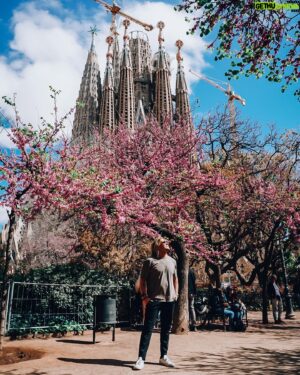 Sami Kuronen Instagram - Kirsikkapuiden kukinta - lupaus kesästä, joka on vasta edessä. Parasta ☀️
Terkkuja Barcelonasta!