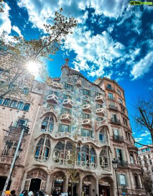 Sami Kuronen Instagram - Kirsikkapuiden kukinta - lupaus kesästä, joka on vasta edessä. Parasta ☀️
Terkkuja Barcelonasta!