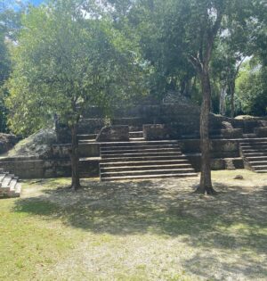 Sammy Sheik Instagram - For Rent: Cozy, breezy Mayan bachelor pad, with a great yard. No pet Jaguars allowed.... 🐆 #cahelpecharcheologicalreserve