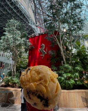 Samuel Arnold Instagram - This one is for the food lovers. Exploring new horizons, one delicious bit at a time #inabudhabi @visitabudhabi