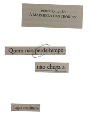 Samya Pascotto Instagram - Encontrei em plena segunda feira. Fica aqui registrado minha sorte tirada no realejo das prateleiras dos livros que a gente não doou: Breves lições de física - Carlo Rovelli. 
Perca seu tempo com entusiasmo.
