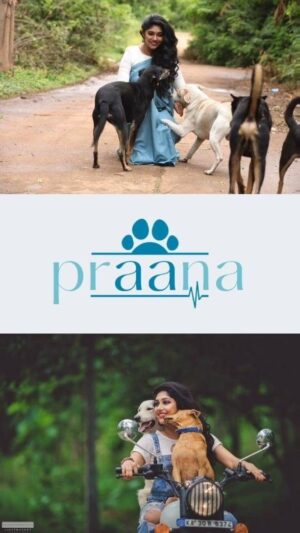 Samyukta Hornad Instagram - Thank you all for being a part of our Praana community, it’s been an incredible journey of unconditional love, support and trust. We’ve just started, miles and milessss to go :) We are going to be in every corner of this country… that’s a Praana promise. 🐶

#ambulanceservice #animalrescue #praanaanimalfoundation