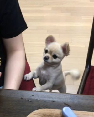 Sandeul Instagram - 망고좋아하는 망고ㅋㅋㅋ
#B1A4 #산들 #아파 #아프다고 #망고야
ㅋㅋㅋㅋㅋㅋㅋ