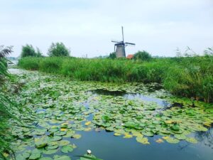 Sandra Kim Instagram - Windmills of Kinderdijk 🇳🇱🇳🇱🌷🌷#kinderdijk #netherlands #summertime #holidays
