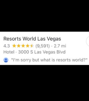 Sandy Honig Instagram - if you don’t take 1000 photos of your friends looking cool in vegas did you even go to vegas ....? sort of a tree falling in the woods situation IMO