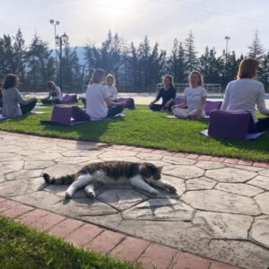 Sanem Balcı Instagram - Dönüştürücü Doğal Nefes Koçluğu Eğitimi💜 (Bitanecim de bizimle birlikte🥰) 
#dönüştürücüdoğalnefes #şükür