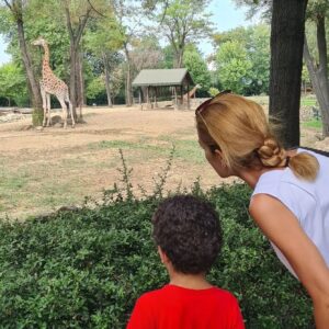 Sanem Balcı Instagram - Günden kalan...💚 
#gundenkalan #huzur #mutluluk #peace #şükür