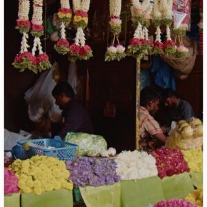 Sanjana Doss Instagram - Some beautiful frames at Malleshwaram Flower market 💓

Idea inspired by @amateurphotoclicker 

#ﬁlmmaking #filmmaker #streetphotographyindia #nammabengaluru #flowerphotoshoot #flowermarket #southindia #movingframes #indianphotostories #southindianphotography