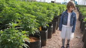 Sanjay Gupta Instagram - Hard to believe: tomorrow my 7th documentary on cannabis as a medicine airs. 10 years ago, it started with a sweet little girl named Charlotte Figi, and then I found so many more patients like her. For them: not only did cannabis work, but it was the only thing that did. Young, and old. Watch our newest doc “Weed 7: a senior moment” Sun at 8p