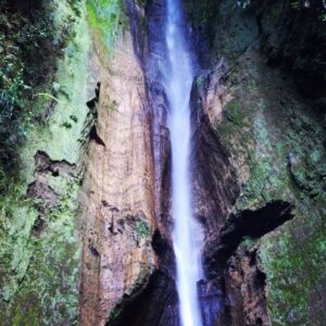 São José Correia Instagram - O Salto da Rosa. Jardim Mata José do Canto. Lagoa das Furnas. São Miguel Açores.