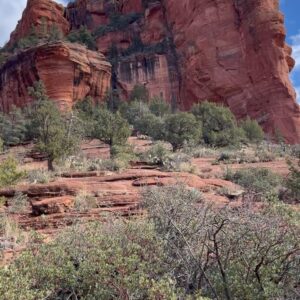 Sara Mitich Instagram - I decided to drive from Toronto to L.A. with my partner in crime (Tilly) and our trusty new sidekick Calvin the Cactus. 

From hiking forests in Kentucky to climbing rock mountains in Sedona — what a beautiful adventure. Swipe through to see some of my favourite snapshots ☺️

(For his own safety, Calvin did not join us on the hikes). 

🌟🙏🏻💖