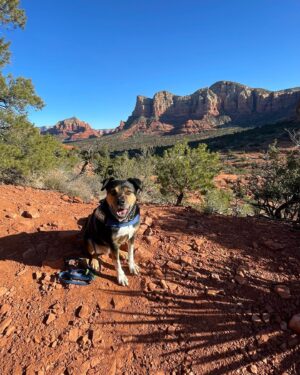 Sara Mitich Instagram - I decided to drive from Toronto to L.A. with my partner in crime (Tilly) and our trusty new sidekick Calvin the Cactus. 

From hiking forests in Kentucky to climbing rock mountains in Sedona — what a beautiful adventure. Swipe through to see some of my favourite snapshots ☺️

(For his own safety, Calvin did not join us on the hikes). 

🌟🙏🏻💖