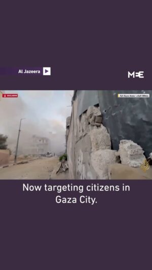 Sarah Alami Instagram - You are allowed to criticize a government, you are allowed to criticize a state, you are allowed to criticize an occupation, you are allowed to say the word genocide. Stop letting people bully you into silence. Kids are dying, whole lineages are being wiped out. Follow to see what I’m talking about  @aljazeeraenglish @middleeasteye @eye.on.palestine @hani.aburezeq @anasjamal44 @motaz_azaiza @wizard_bisan1 @nooh.xp @belalkh Every single person should be paying attention. #genocide #palestine #gaza #rafah #extermination #ethniccleansing