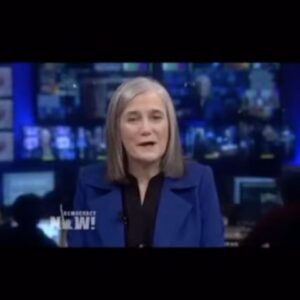 Sarah Alami Instagram - A video worth watching til the end. The same excuses then are the same excuses now. 2018 Jewish scholar @normanfinkelsteinofficial talks about the lies of #Gaza and  the use of “self defense” also … take a look at my stories. Just one of many kids today targeted by the #occupation . #palestine #extermination #genocide @icjpalestine @ungeneva
