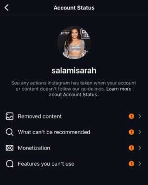 Sarah Alami Instagram - @meta is having a very busy day today. All the Palestinian educational content creators seems to all have been shut down. #silence #suppression #occupation #segregation #palestine #gaza
