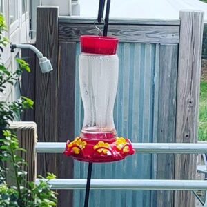 Sarah Dessen Instagram - It’s that time of year when it seems everyone is off doing something awesome. Don’t get me wrong: I LOVE seeing my friends happy. But there are times, on a Sunday morning, when you realize your own life is drastically dull. Like, basically watching the hummingbirds and 90 Day Fiancé The Other Way while drinking hot water because you’re too anxious for much caffeine dull . At the same time, things are NUTS: end of school, beginning of camp, endless forms (driving school? What?). This weird balance of rushing and stillness, I have learned, is what my life looks like being lived. Just watch the hummingbirds circle, rest and scuffIe. They know. 🙌🏻🦜
