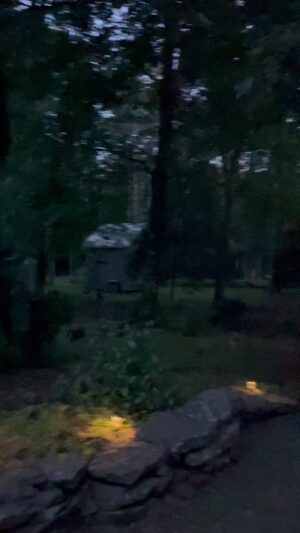 Sarah Dessen Instagram - Fireflies! Have to look close but they are there. Hard times and I’m making big changes. Taking this as a good sign. Hope it is for you, too. ⭐️