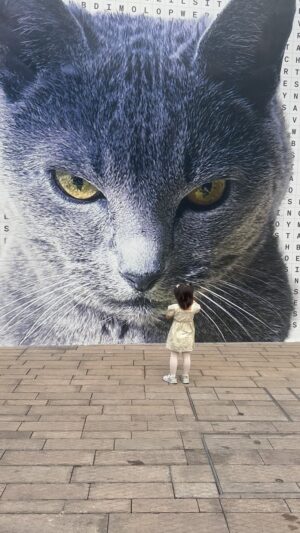 Sarah Morris Instagram - A double puzzle: TXJSQE. A billboard not selling anything but my omnipotent cat. Viewable in the old Hong Kong police headquarters parade grounds of @taikwun.hk @scottkingstudio #TXJSQE