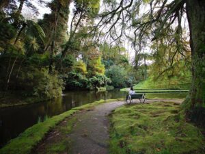 Sarah Rotella Instagram - Some of views and wildlife in Furnas