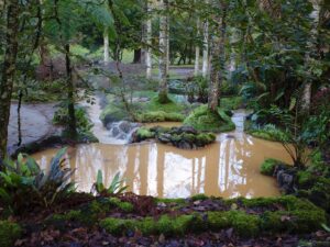 Sarah Rotella Instagram - Some of views and wildlife in Furnas