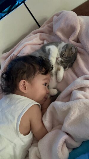 Saran Sirilak Instagram - รักน้องสุดๆ 🥰
#น้อนโฮมส์